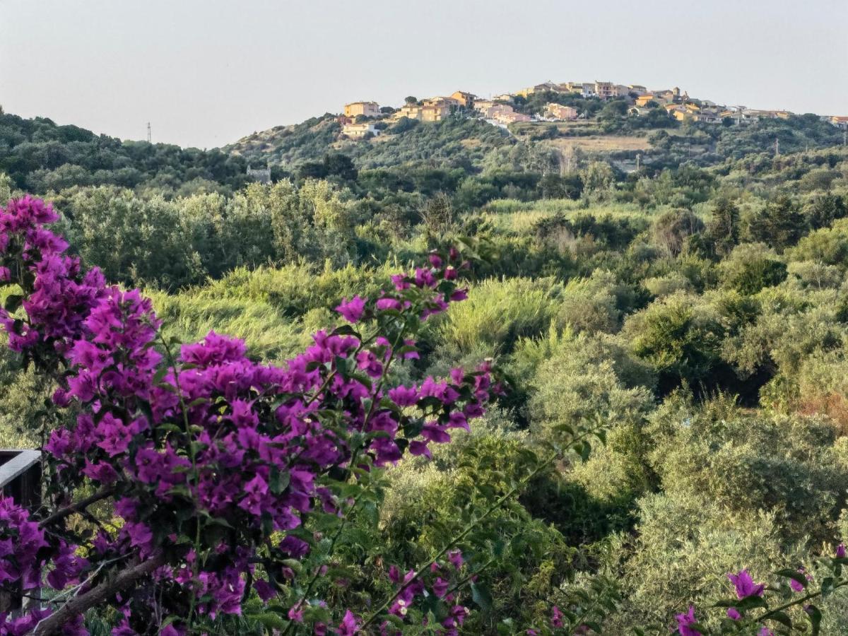 La Corte Degli Ulivi - Albergo Rurale Tresnuraghes Zewnętrze zdjęcie